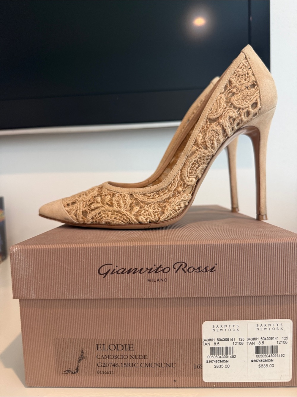 Gianvito Rossi Nude Lace Pointed-Toe Stiletto Pumps